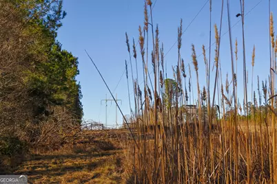 1 Henry Moxley Road, Cobbtown, GA 30420 - Photo 27