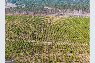 1 Henry Moxley Road, Cobbtown, GA 30420 - Photo 17