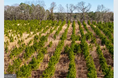 1 Henry Moxley Road, Cobbtown, GA 30420 - Photo 21