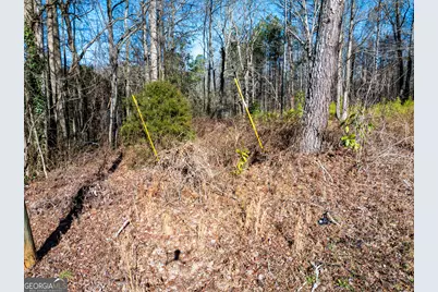 0 Tallapoosa Street, Buchanan, GA 30113 - Photo 13