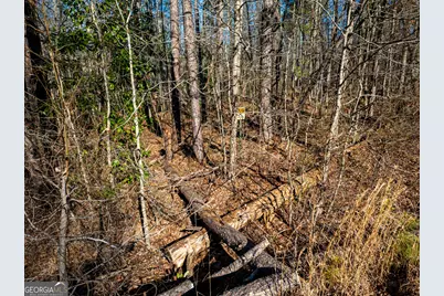 0 Tallapoosa Street, Buchanan, GA 30113 - Photo 17