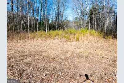 0 Tallapoosa Street, Buchanan, GA 30113 - Photo 3