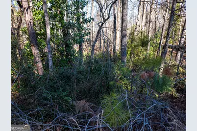 0 Tallapoosa Street, Buchanan, GA 30113 - Photo 15