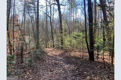 0 Whippoorwill Lane, Cleveland, GA 30528 - Photo 5