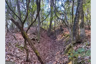 0 Whippoorwill Lane, Cleveland, GA 30528 - Photo 21