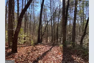 0 Whippoorwill Lane, Cleveland, GA 30528 - Photo 15