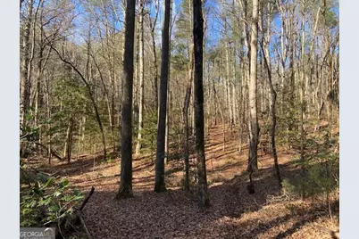 0 Whippoorwill Lane, Cleveland, GA 30528 - Photo 9