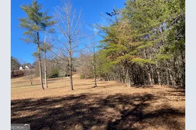 0 Whippoorwill Lane, Cleveland, GA 30528 - Photo 39