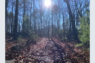 0 Whippoorwill Lane, Cleveland, GA 30528 - Photo 3