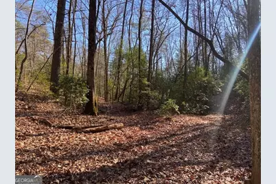 0 Whippoorwill Lane, Cleveland, GA 30528 - Photo 19