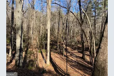 0 Whippoorwill Lane, Cleveland, GA 30528 - Photo 23