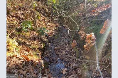 0 Whippoorwill Lane, Cleveland, GA 30528 - Photo 25