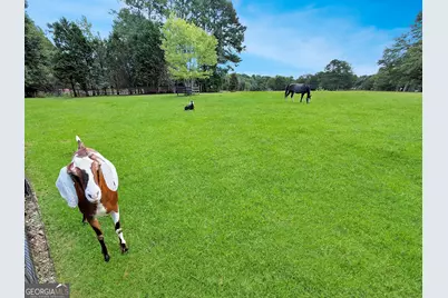 1040 Essex Road, Watkinsville, GA 30677 - Photo 7