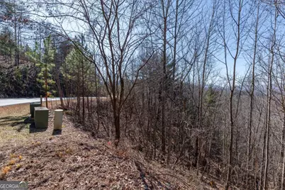Lot 370 Thirteen Hundred, Blairsville, GA 30512 - Photo 27