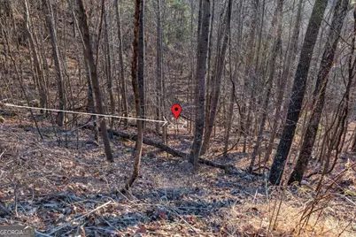 Lot 370 Thirteen Hundred, Blairsville, GA 30512 - Photo 19