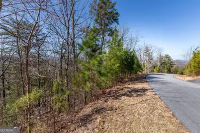 Lot 370 Thirteen Hundred, Blairsville, GA 30512 - Photo 41