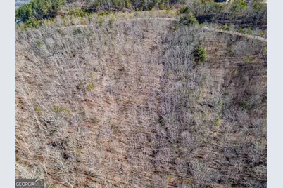 Lot 370 Thirteen Hundred, Blairsville, GA 30512 - Photo 3