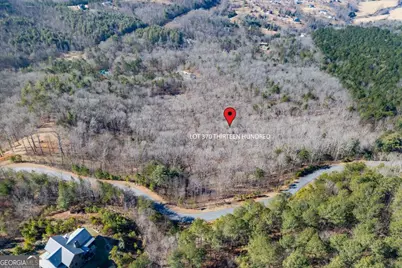 Lot 370 Thirteen Hundred, Blairsville, GA 30512 - Photo 7