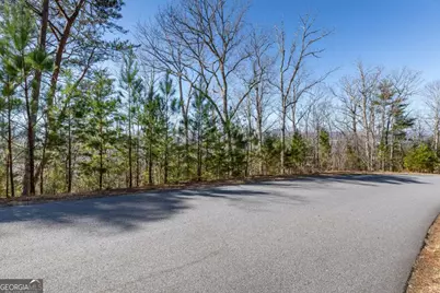 Lot 370 Thirteen Hundred, Blairsville, GA 30512 - Photo 13