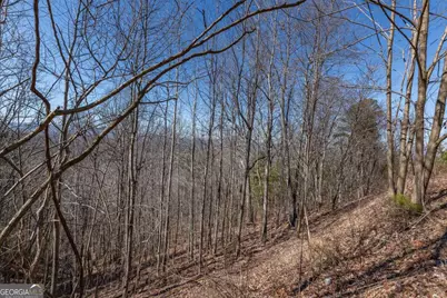 Lot 370 Thirteen Hundred, Blairsville, GA 30512 - Photo 29