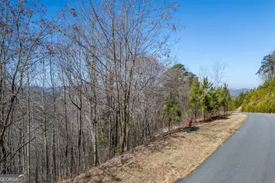 Lot 370 Thirteen Hundred, Blairsville, GA 30512 - Photo 11