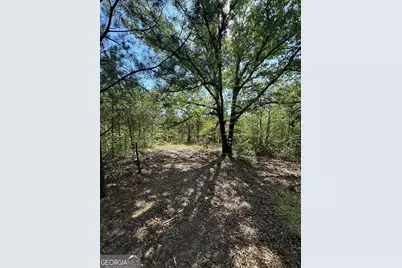 0 Sardis Church Road, Kite, GA 31049 - Photo 9
