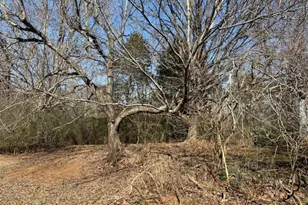 1570 Historic Homer Hwy, Homer, GA 30547 - Photo 25