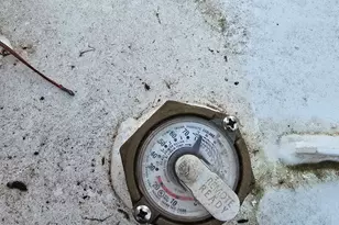 479 Mitchell Loop, Bluffton, GA 39824 - Photo 49