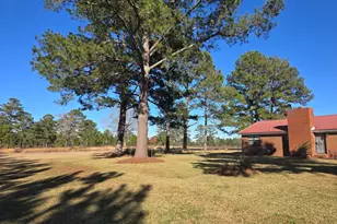 479 Mitchell Loop, Bluffton, GA 39824 - Photo 7