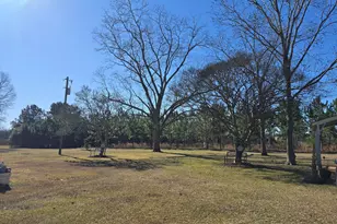 479 Mitchell Loop, Bluffton, GA 39824 - Photo 3