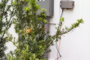 87 Lighthouse Way, Woodbine, GA 31569 - Photo 93