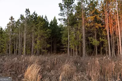 0 Highway 26, Montrose, GA 31065 - Photo 1