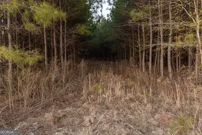 0 Highway 26, Montrose, GA 31065 - Photo 3