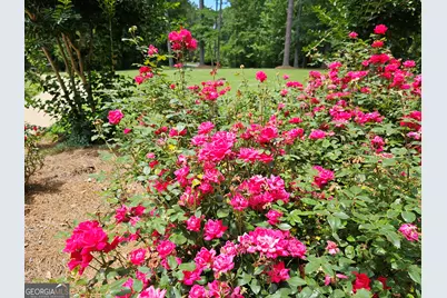 15 Falcon Drive, Tallapoosa, GA 30176 - Photo 17