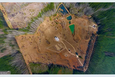 1039 Womack Road N, Garfield, GA 30425 - Photo 1