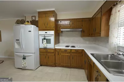 101 4th Street, Rhine, GA 31077 - Photo 9