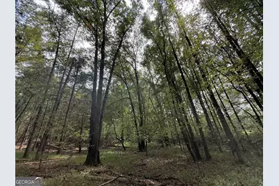 9990 Jefferson River Road, Athens, GA 30607 - Photo 29