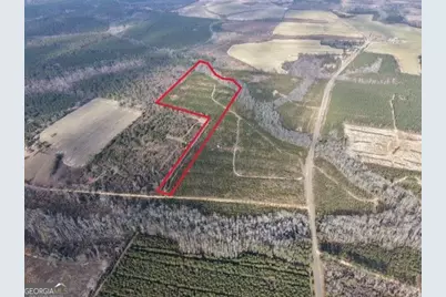 1 Dodges Chapel Road, Lumber City, GA 31549 - Photo 3