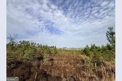 1 Dodges Chapel Road, Lumber City, GA 31549 - Photo 29
