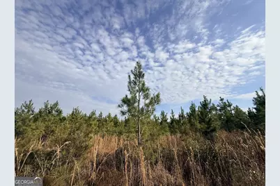 1 Dodges Chapel Road, Lumber City, GA 31549 - Photo 27