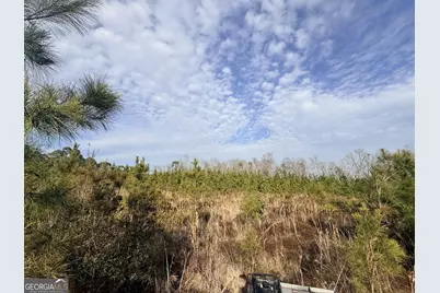 1 Dodges Chapel Road, Lumber City, GA 31549 - Photo 21