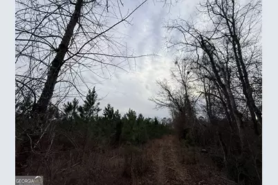 1 Dodges Chapel Road, Lumber City, GA 31549 - Photo 11