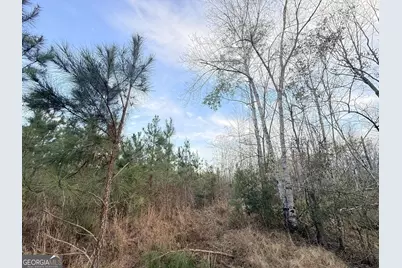 2 Powell School Road, Lumber City, GA 31549 - Photo 15