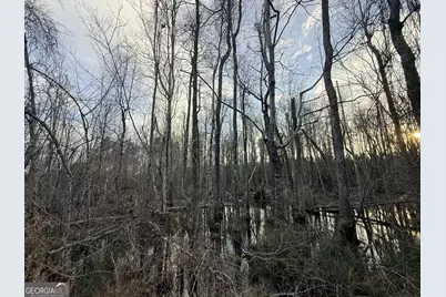 2 Powell School Road, Lumber City, GA 31549 - Photo 19