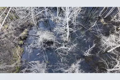 2 Powell School Road, Lumber City, GA 31549 - Photo 5