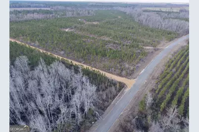 2 Powell School Road, Lumber City, GA 31549 - Photo 11