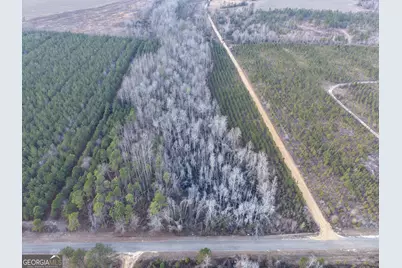 2 Powell School Road, Lumber City, GA 31549 - Photo 17