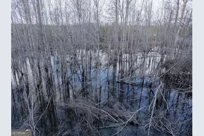 2 Powell School Road, Lumber City, GA 31549 - Photo 9