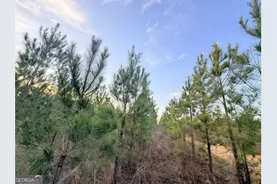 2 Powell School Road, Lumber City, GA 31549 - Photo 13