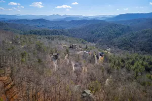 101 Falling Rock Road, Blue Ridge, GA 30513 - Photo 55